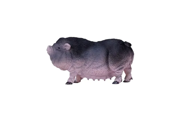 Pot Bellied Pig
