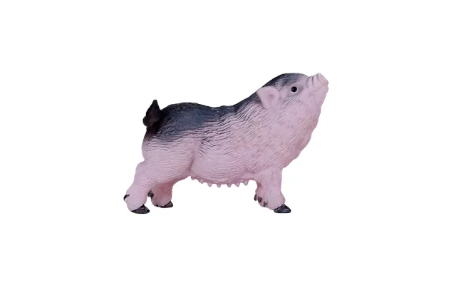 Pot Bellied Piglet