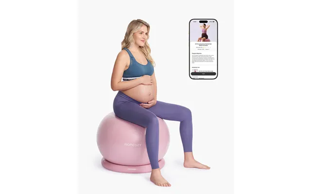 Momcozy Birthease Maternity Ball Set Ball Type Dusty Rose