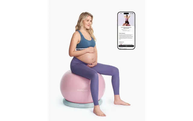 Momcozy Birthease Pregnancy Ball Set - Petal Sky