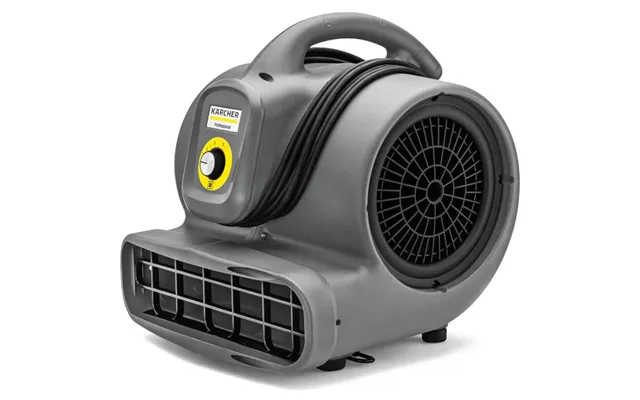 Karcher Ab 20 1 Professional Air Dryer And Blower