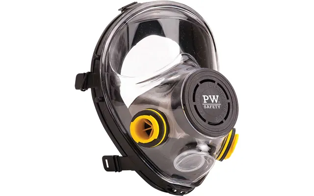 Portwest Vienna Full Face Mask
