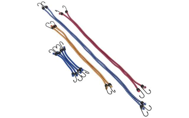 Sealey 10 Piece Assorted Elastic Cords Set