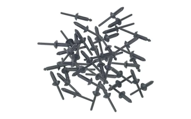 Sealey Plastic Rivets