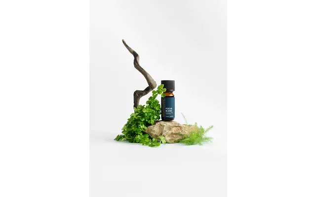 Focus Essential Oil Blend 10ml - Focus Essential Oil Blend 10ml