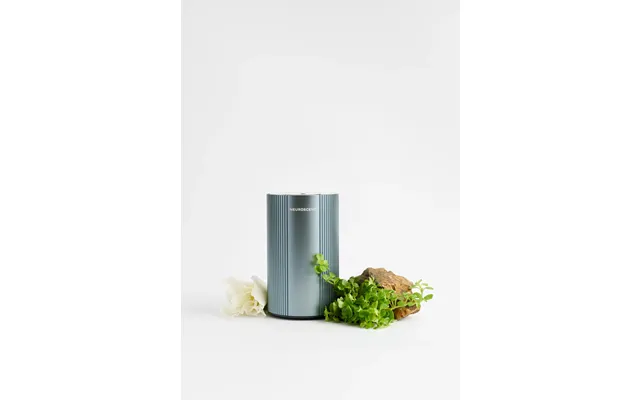 Micromoments Lux Diffuser - Micromoments Lux Diffuser