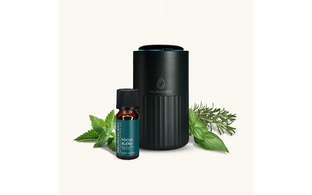 Portable Diffuser Set With Focus Blend