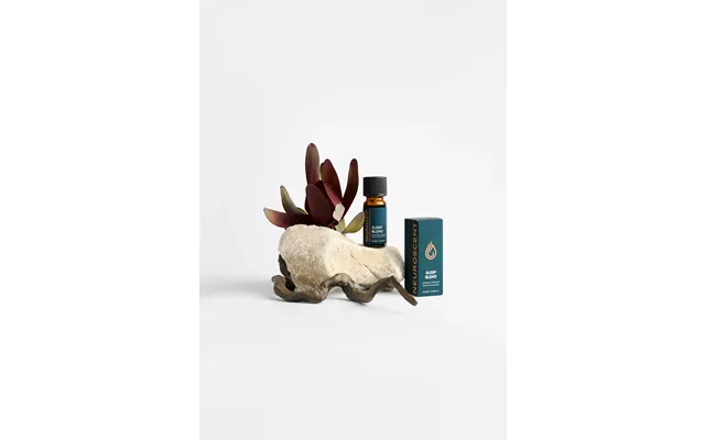 Sleep Essential Oil Blend 10ml