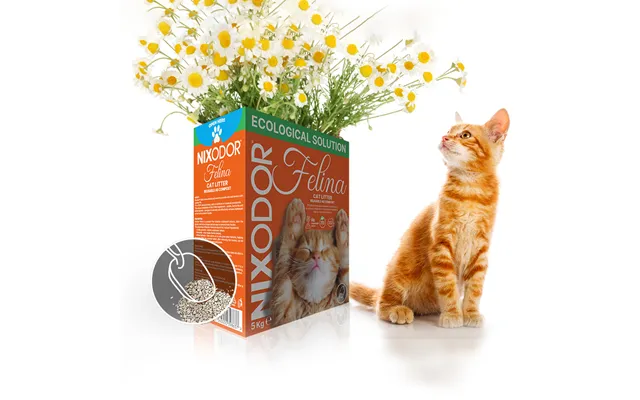 Cat Litter - 5kg