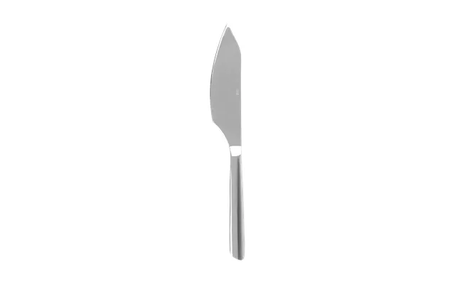 Aida Raw Cake Knife Steel Gloss
