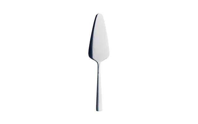 Aida Raw Cake Slice Stainless Steel