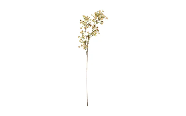 Bloomingville Stem Wax Flower White