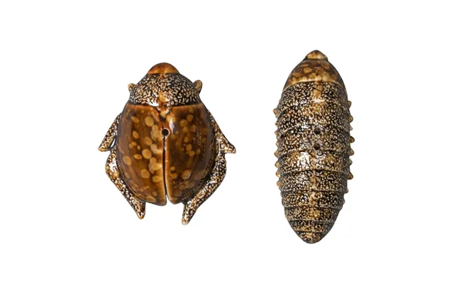 Byon Salt- & Pepper Shaker Beetles Brown