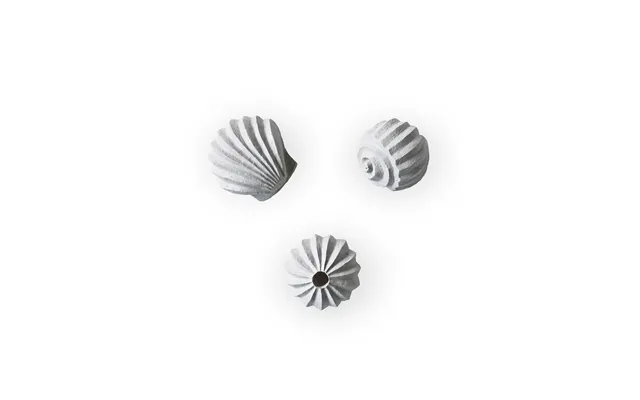 Cooee Design The Genesis Shells Sculpture 3-pack Limestone