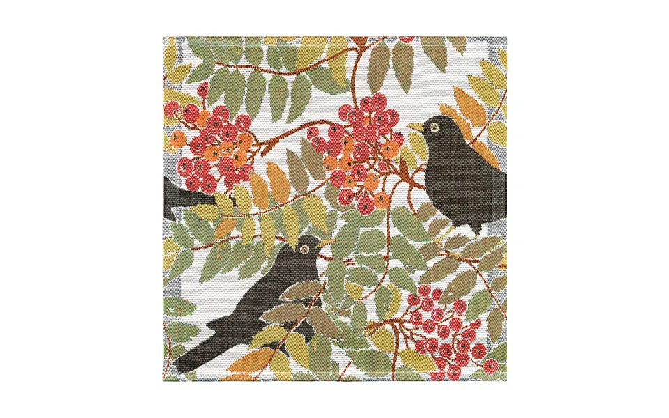 Ekelund Linneväveri Koltrast Fabric Napkin 35x35 Cm Multi