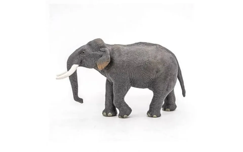 Figurine Asian Elephant - 3 Years