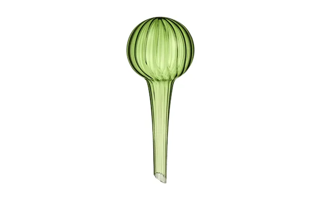 Muurla Muurla Self-watering 15 Cm Green