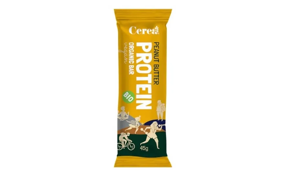 Organic Protein Bar With Peanut Butter - 45 G