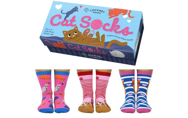 Cat Socks Gift Box