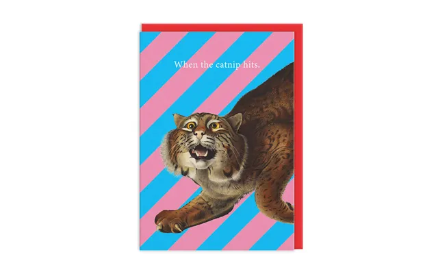 Catnip Hits Greeting Card