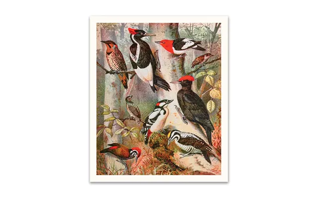 Forest Birds Riso Print 12x10