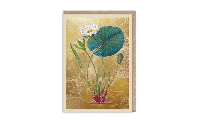 Pond Lily Greeting Card