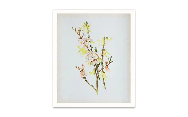 Spring Blossom Riso Print 12x10