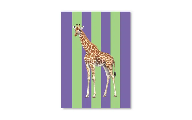 Striped Giraffe Postcard