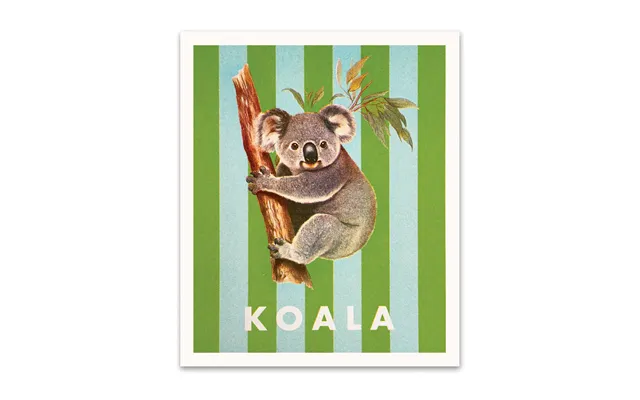 Striped Koala Small Art Print 8x6