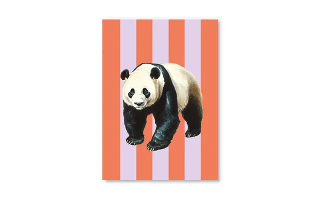 Striped Panda Postcard