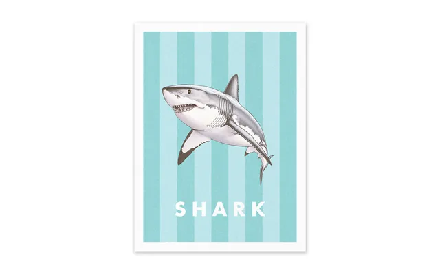 Striped Shark Small Art Print 12x10