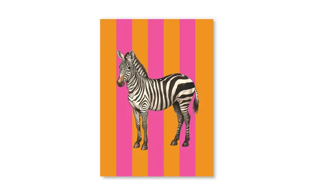 Striped Zebra Postcard