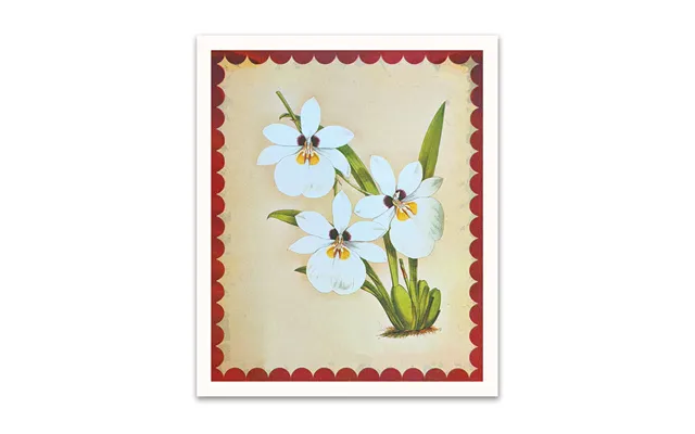 White Orchid Riso Print 12x10