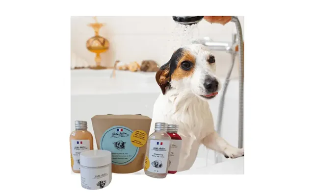 Biofood Assortment Box 3 Shampoos 1 200ml Mask