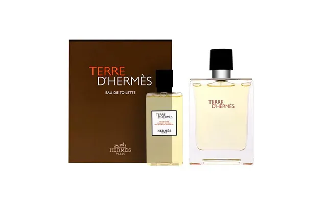 Hermès Terre D'hermes Eau De Toilette Spray Set 100ml 2 Pieces