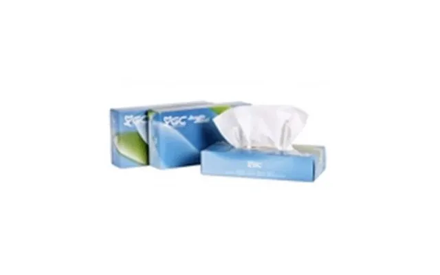 Olimpic Tissue Box 100 Units