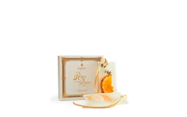 Santa Maria Novella Water From Regina Scented Wax Tablets product image
