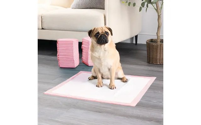 Ohs 100 Pack Lemon Scented Puppy & Dog Training Pads, 60 X 60cm - White Blush