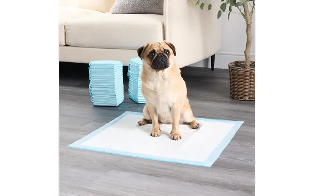 Ohs 100 Pack Puppy & Dog Training Pads, 60 X 60cm - White Blue