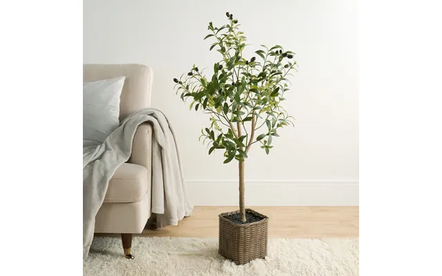 Ohs Olive Tree In Basket, Green - 110cm