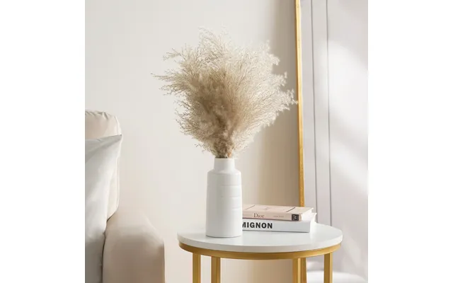 Ohs Pampas In Pot, Natural - 50cm