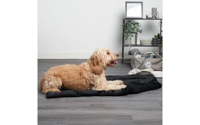 Ohs Sherpa Soft Quilted Pet Blanket - Black