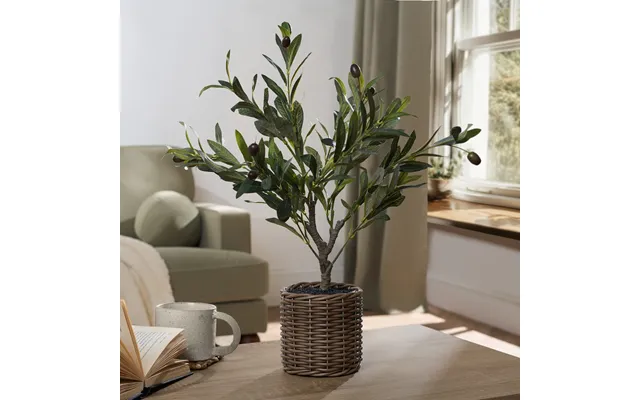 Ohs Small Olive Tree In Basket - Green