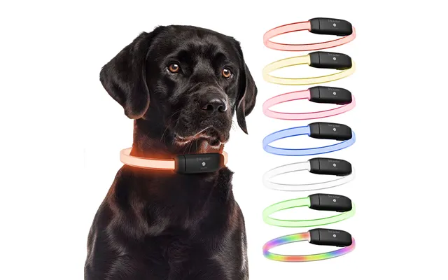 Paj Light Led Dog Collar Waterproof & Adjustable Up To 10h Visibility Lightweight & Usb Rechargeable Night Safety For Al