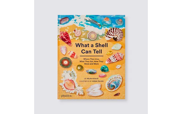 What A Shell Can Tell