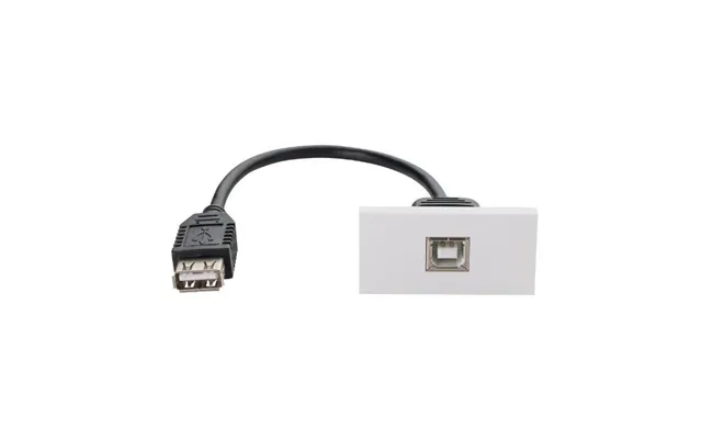 Connektgear 0.2m Av Snap-in Usb 2 Type B Module 25 X 50mm - Socket To
