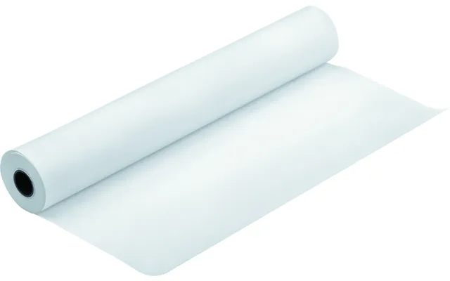 Epson Singleweight Matte Paper Roll. 17 X 40 M. 120g M