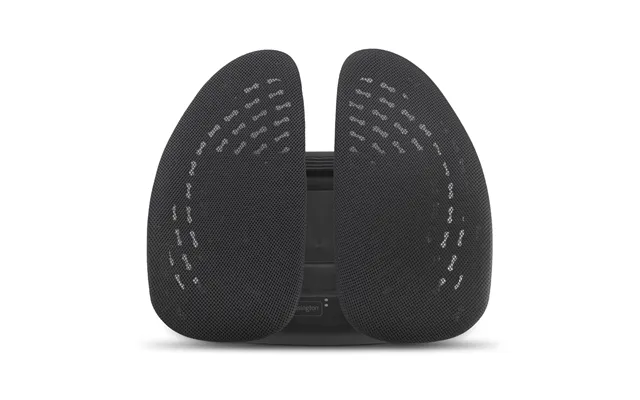 Kensington Smartfit Conform Back Rest