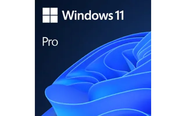 Microsoft Windows 11 Pro 1 License S