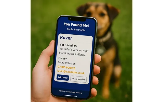 Lost Dog Finder Tag - Because 1 In 3 Lost Pets Never Make It Home
